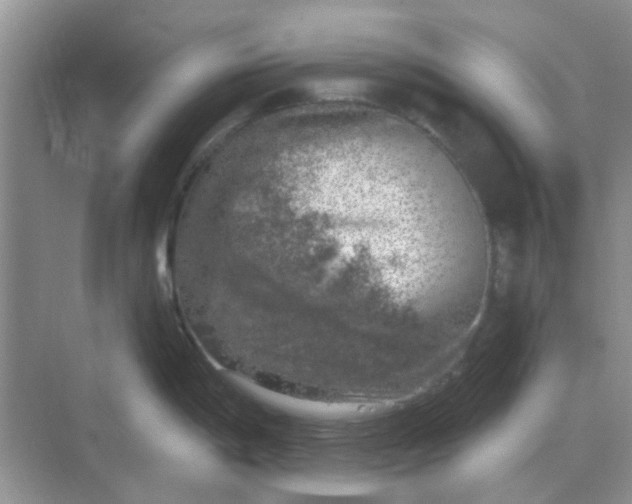 X0000068891198200605192127