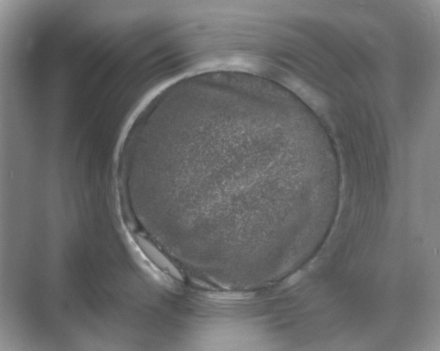 X0000068891200200605192127