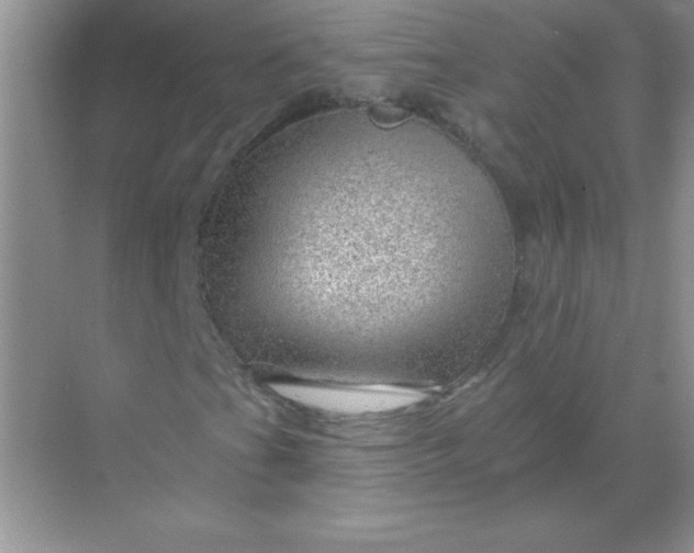 X0000068891201200605192126