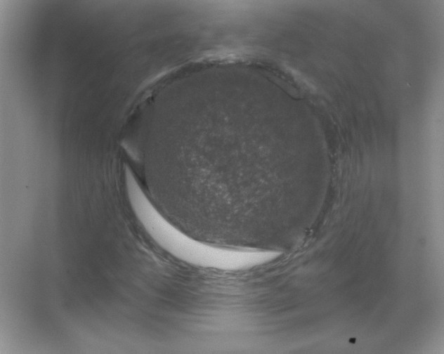 X0000068891206200605192126