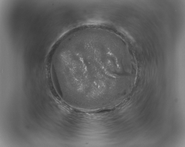 X0000068891208200605192126