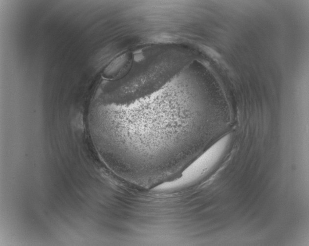 X0000068891209200605192126