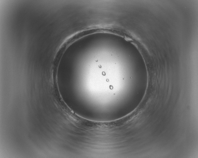 X0000068891214200605192126