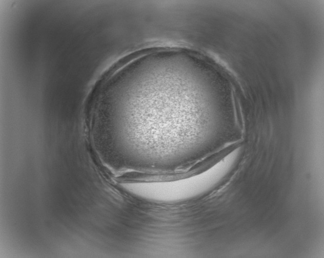 X0000068891215200605192126