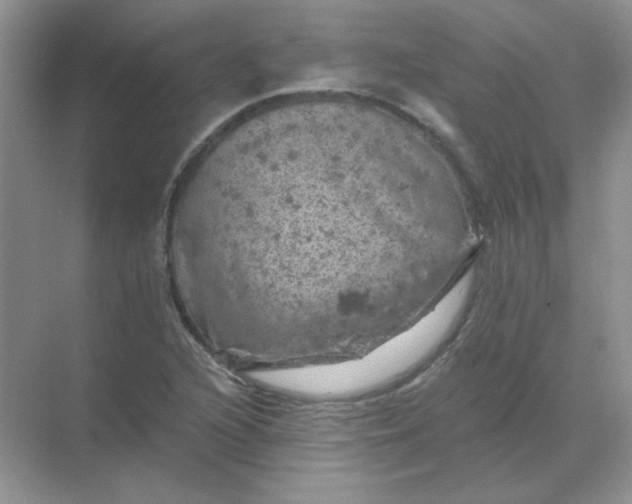 X0000068891216200605192126