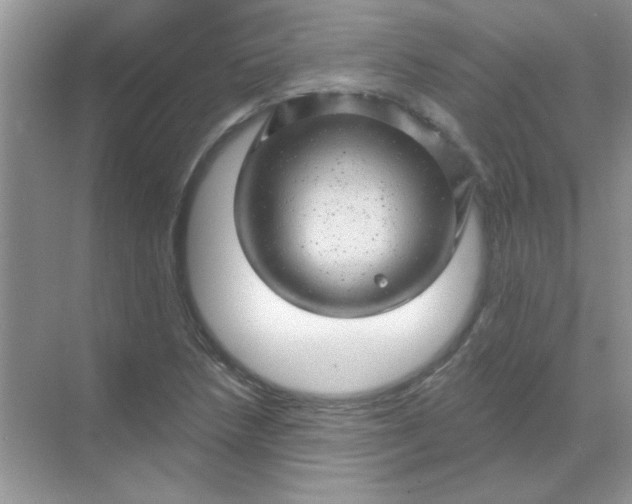 X0000068891218200605192126