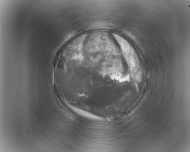 X0000068891219200605192126