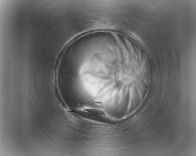 X0000068891220200605192126