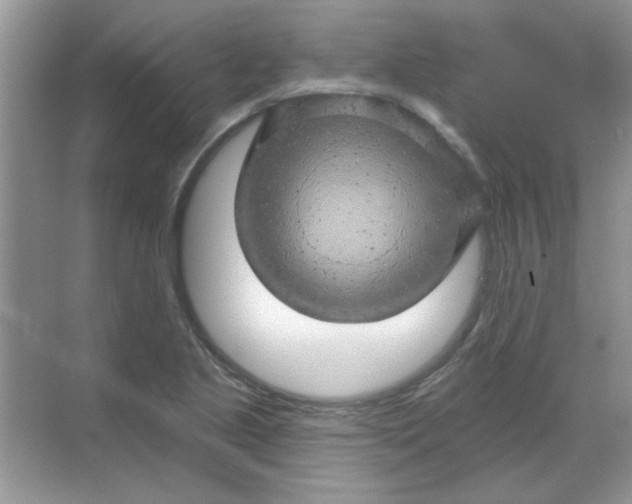 X0000068891221200605192126