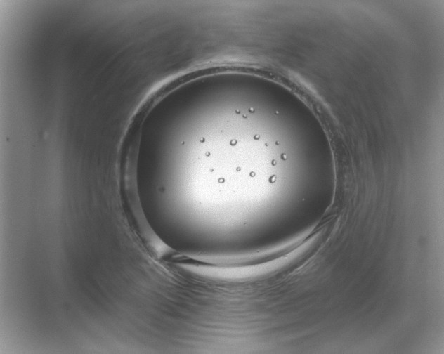 X0000068891222200605192126