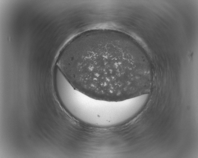 X0000068891224200605192126