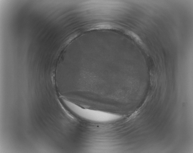 X0000068891225200605192126