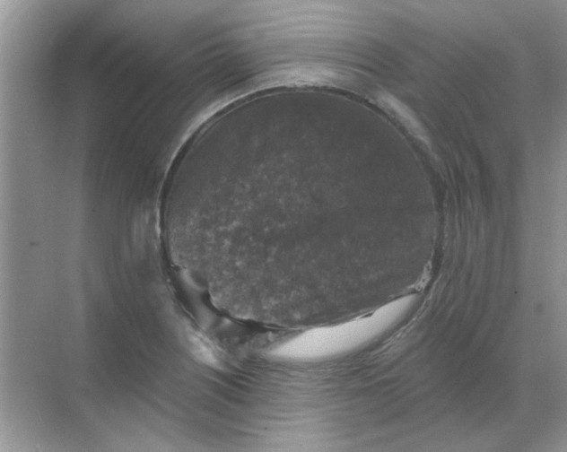 X0000068891226200605192126