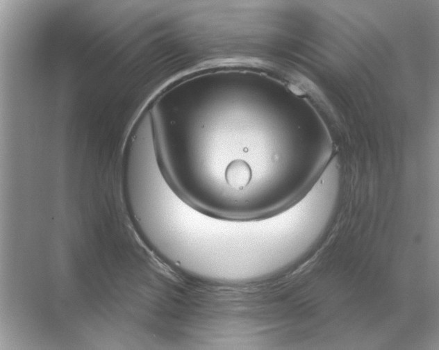 X0000068891228200605192126