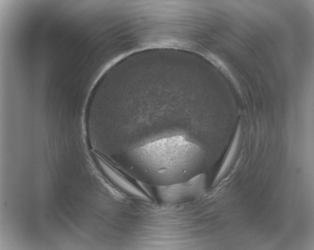 X0000068891230200605192126