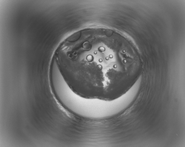 X0000068891231200605192126