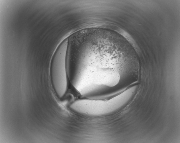 X0000068891234200605192126