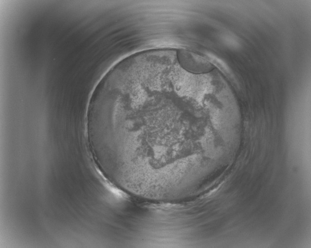 X0000068891236200605192126