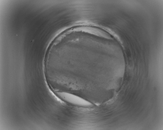 X0000068891239200605192127