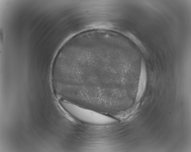 X0000068891240200605192127