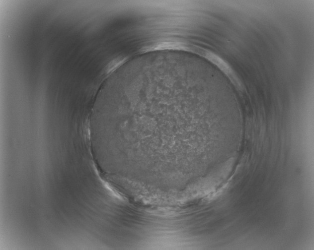 X0000068891241200605192127