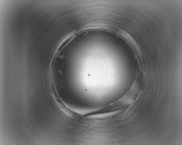 X0000068891242200605192127