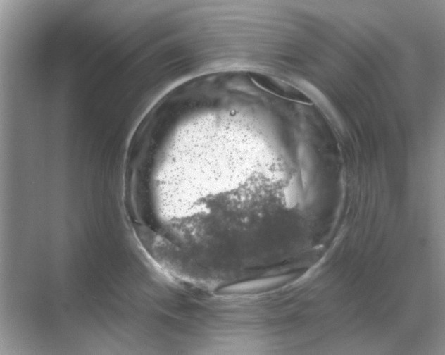 X0000068891244200605192127