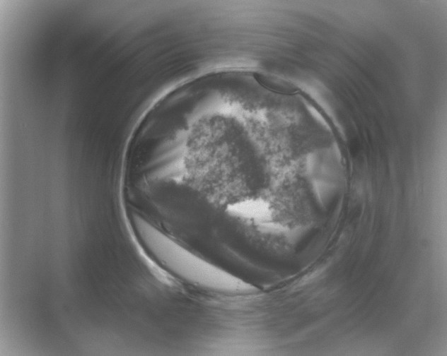 X0000068891245200605192127