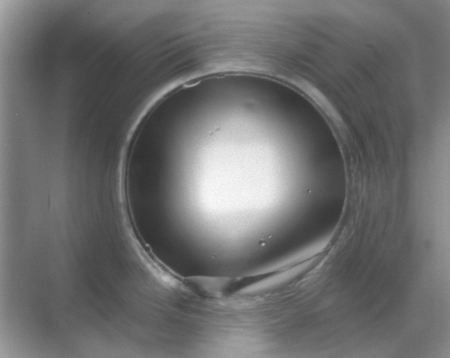 X0000068891246200605192127