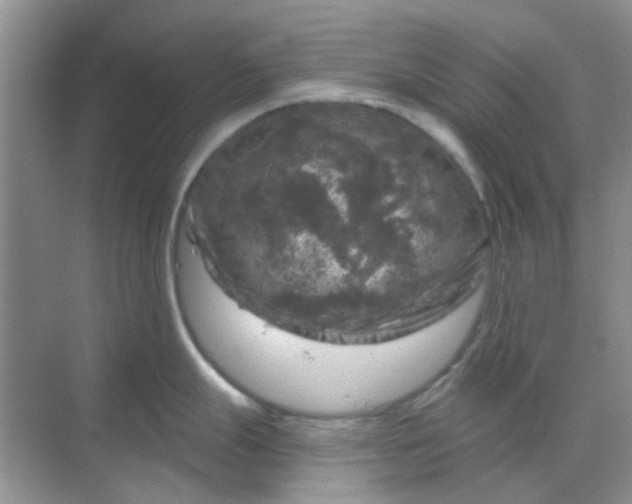 X0000068891247200605192127