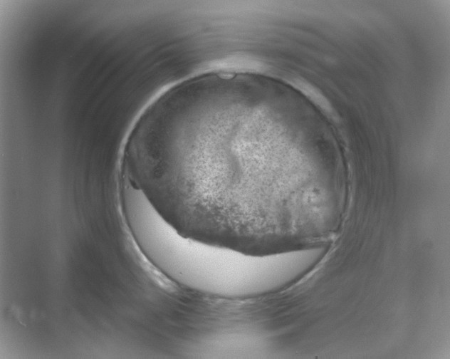 X0000068891248200605192127