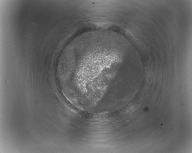 X0000068891249200605192126