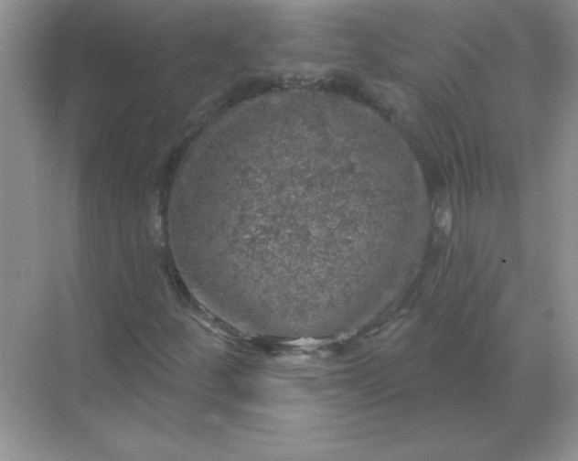 X0000068891252200605192126