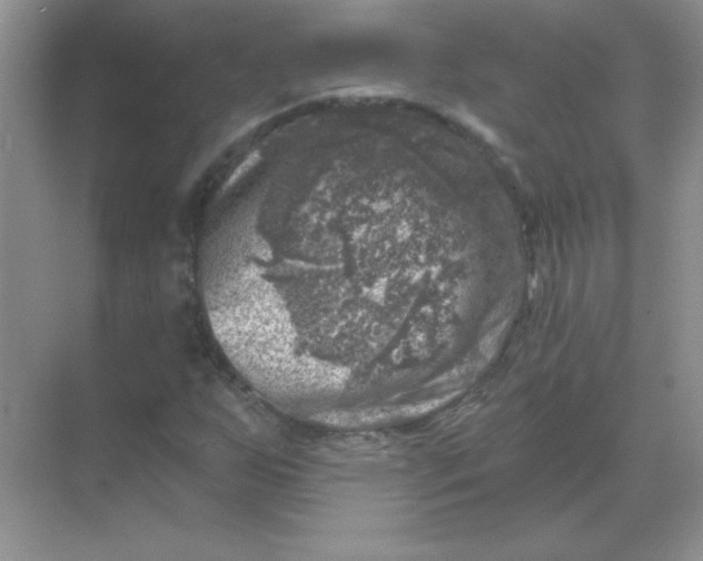 X0000068891255200605192126