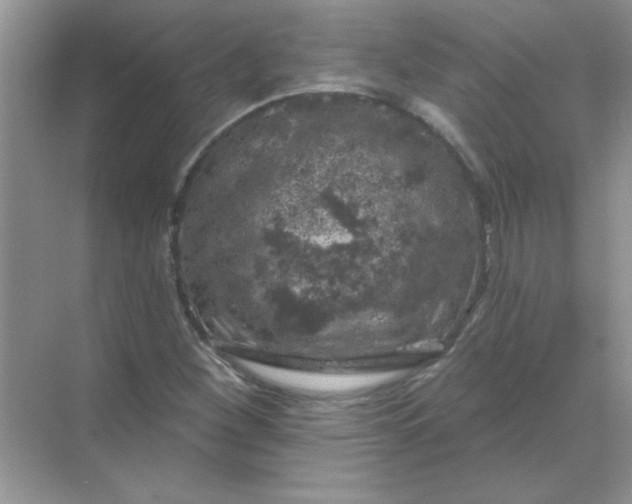 X0000068891260200605192126