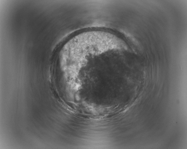 X0000068891262200605192126