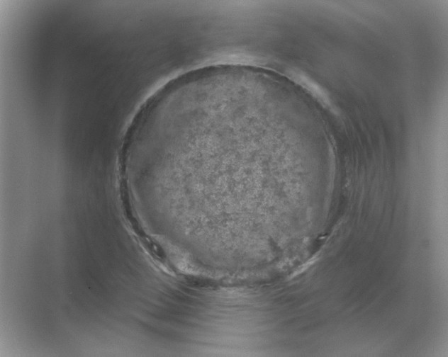 X0000068891264200605192126