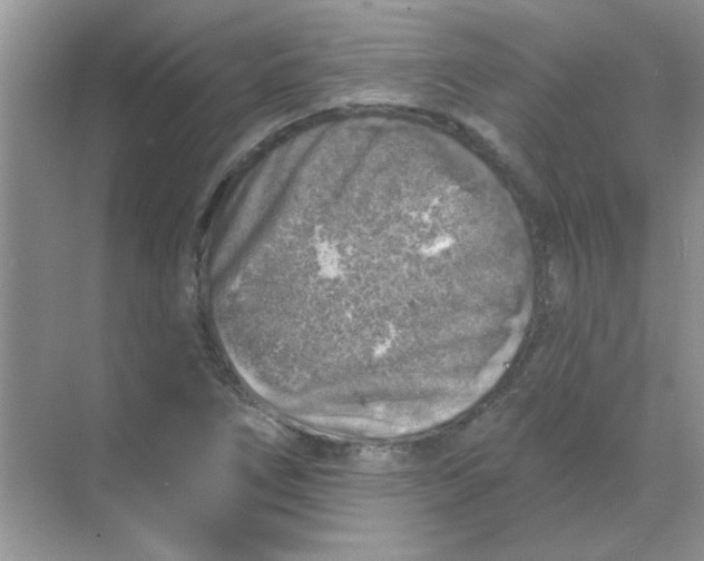 X0000068891266200605192126