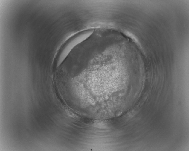 X0000068891267200605192126