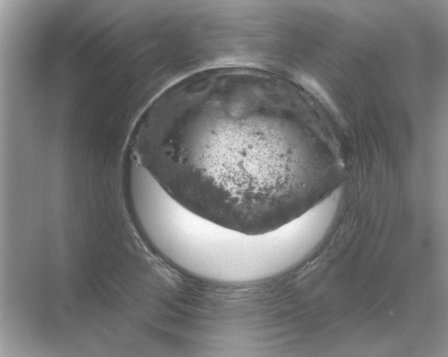 X0000068891268200605192126