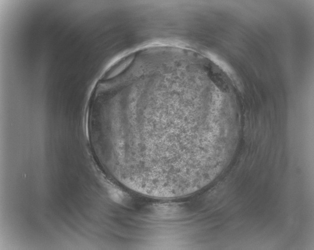 X0000068891272200605192125