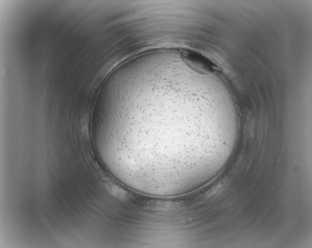 X0000068891273200605192125