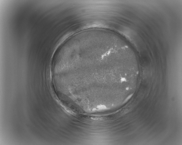 X0000068891274200605192125