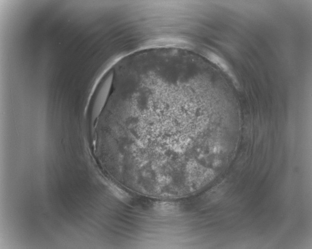 X0000068891275200605192125