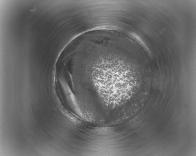 X0000068891276200605192125