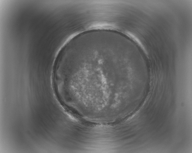 X0000068891277200605192125