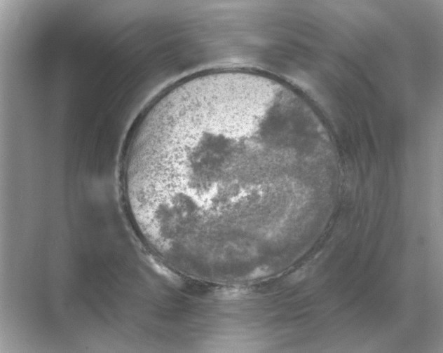 X0000068891278200605192125