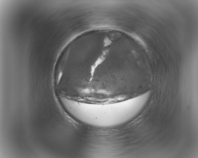 X0000068891279200605192125