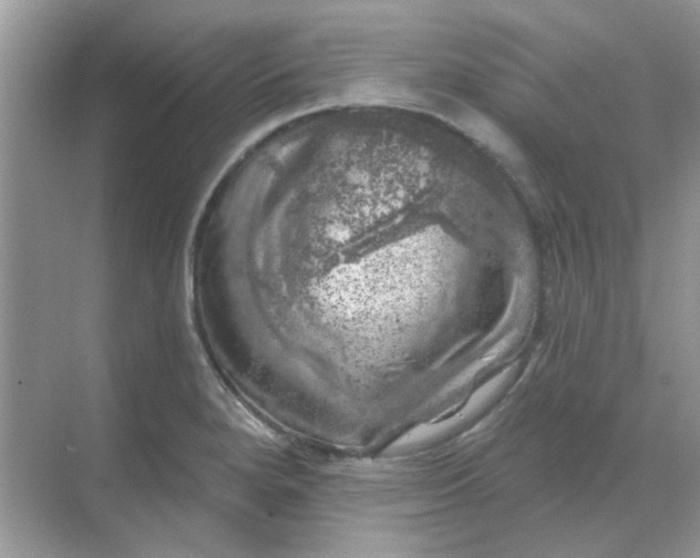 X0000068891280200605192125