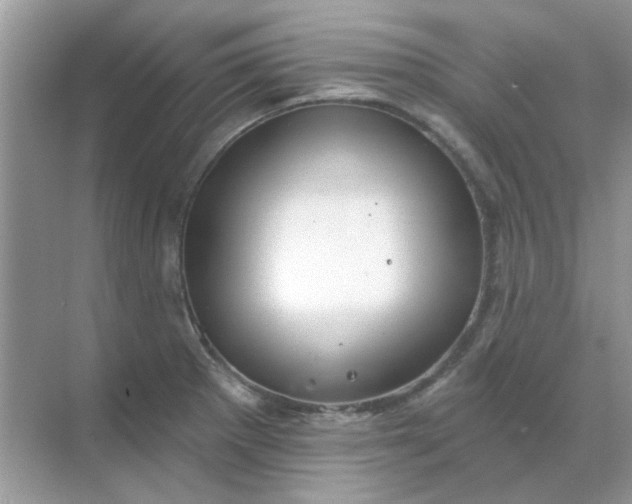 X0000068891281200605192125